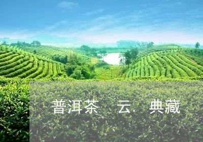 普洱茶 云.典藏/2023041163138